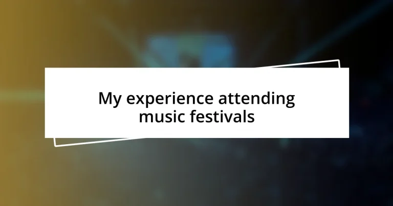 My experience attending music festivals