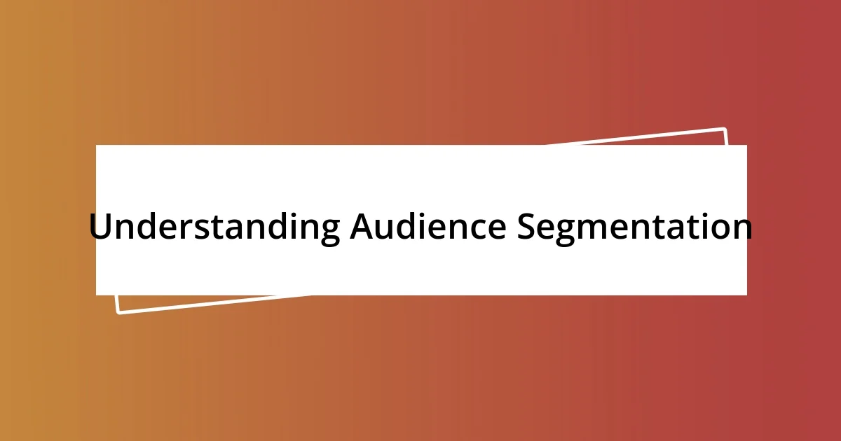 Understanding Audience Segmentation